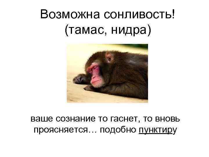  Возможна сонливость! (тамас, нидра) ваше сознание то гаснет, то вновь проясняется… подобно пунктиру