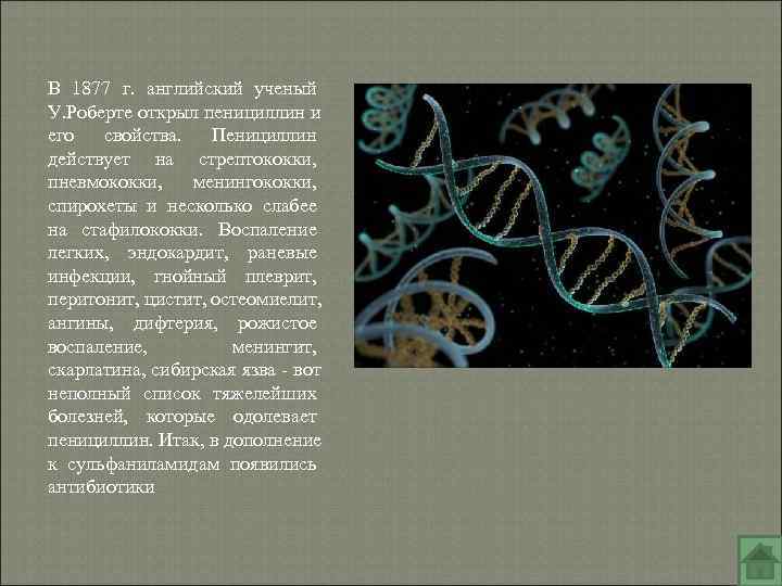 В 1877 г. английский ученый У. Роберте открыл пенициллин и его свойства. Пенициллин В 1877 г. английский ученый У. Роберте открыл пенициллин и его свойства. Пенициллин