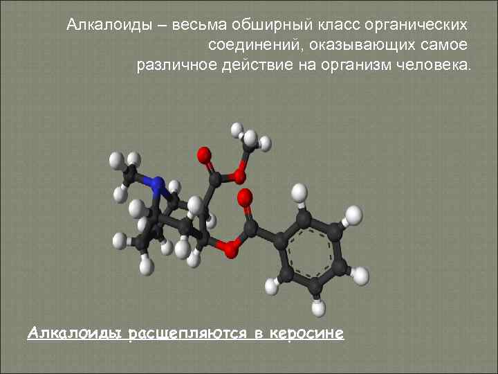 Алкалоиды – весьма обширный класс органических соединений, оказывающих Алкалоиды – весьма обширный класс органических соединений, оказывающих