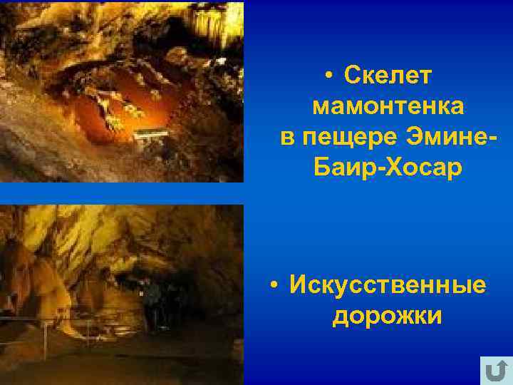 • Скелет мамонтенка в пещере Эмине- Баир-Хосар • Искусственные дорожки • Скелет мамонтенка в пещере Эмине- Баир-Хосар • Искусственные дорожки