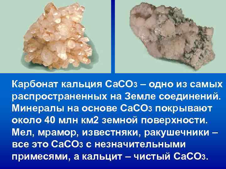 Карбонат кальция Са. CO 3 – одно из самых распространенных на Земле соединений. Карбонат кальция Са. CO 3 – одно из самых распространенных на Земле соединений.