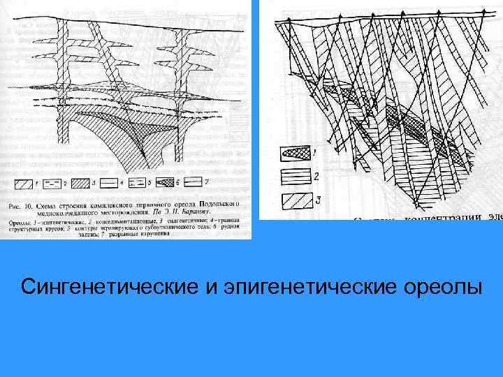 Сингенетические и эпигенетические ореолы 
