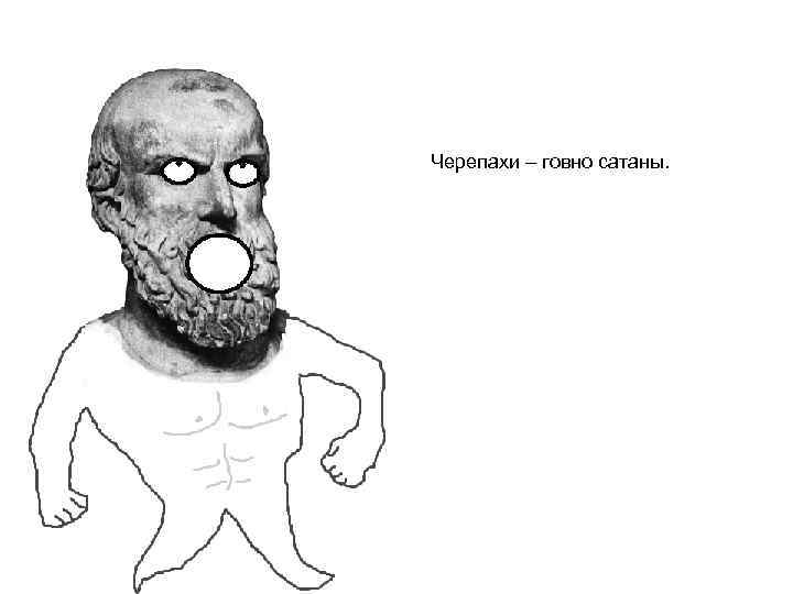 Черепахи – говно сатаны. 