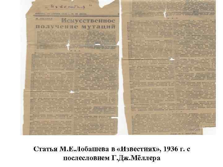 Статья М. Е. Лобашева в «Известиях» , 1936 г. с послесловием Г. Дж. Мёллера