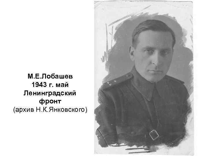 М. Е. Лобашев 1943 г. май Ленинградский фронт (архив Н. К. Янковского) 