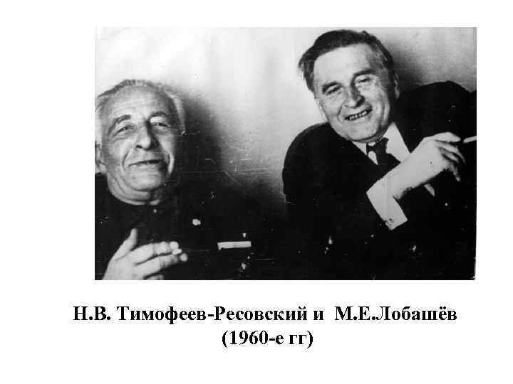 Н. В. Тимофеев-Ресовский и M. E. Лобашёв (1960 -е гг) 