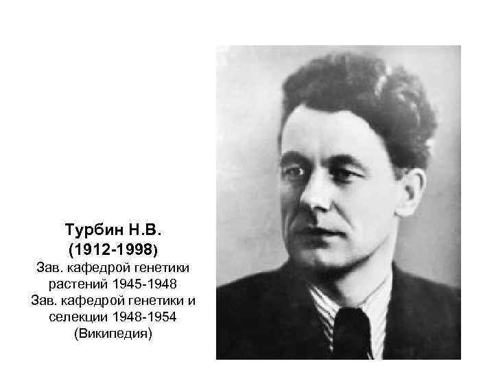 Турбин Н. В. (1912 -1998) Зав. кафедрой генетики растений 1945 -1948 Зав. кафедрой генетики