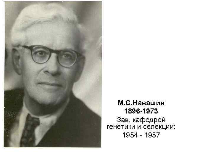 М. С. Навашин 1896 -1973 Зав. кафедрой генетики и селекции: 1954 - 1957 