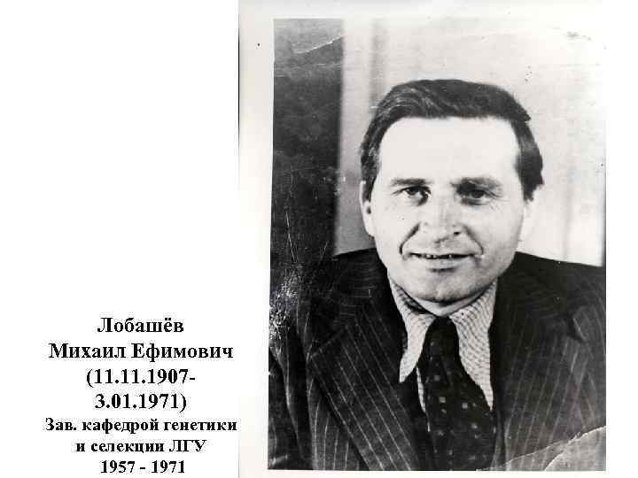 Лобашёв Михаил Ефимович (11. 19073. 01. 1971) Зав. кафедрой генетики и селекции ЛГУ 1957