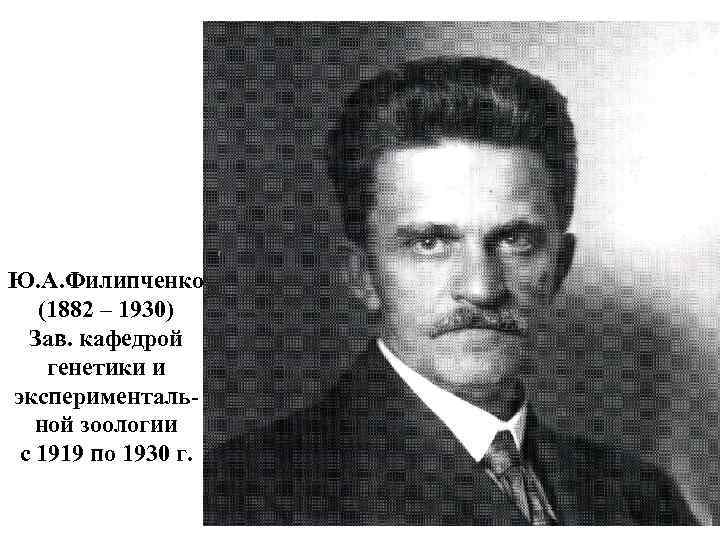 Ю. А. Филипченко (1882 – 1930) Зав. кафедрой генетики и экспериментальной зоологии с 1919