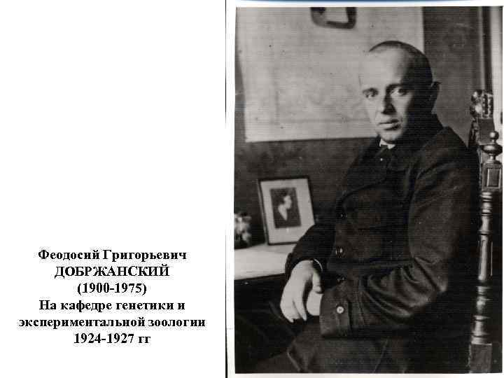 Феодосий Григорьевич ДОБРЖАНСКИЙ (1900 -1975) На кафедре генетики и экспериментальной зоологии 1924 -1927 гг