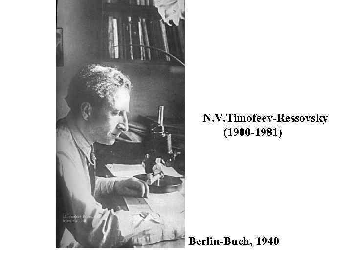 N. V. Timofeev-Ressovsky (1900 -1981) Berlin-Buch, 1940 
