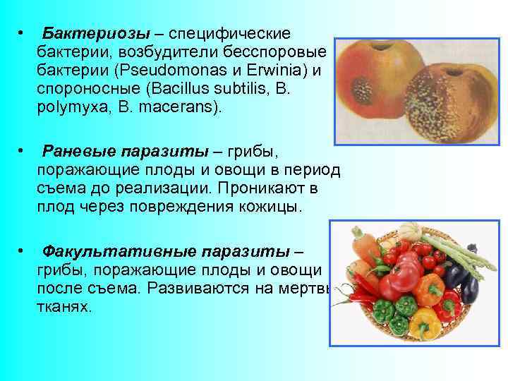  •  Бактериозы – специфические  бактерии, возбудители бесспоровые  бактерии (Pseudomonas и