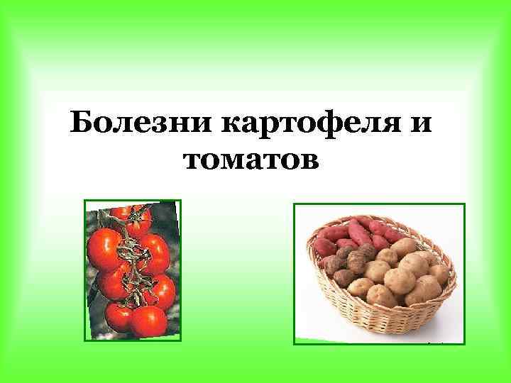 Болезни картофеля и  томатов 