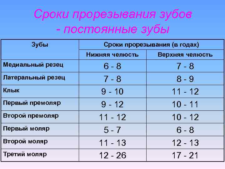  Сроки прорезывания зубов - постоянные зубы Зубы Сроки прорезывания (в годах) Нижняя челюсть