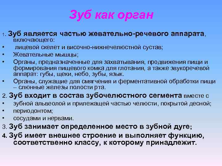  Зуб как орган 1. Зуб является частью жевательно-речевого аппарата, включающего: • лицевой скелет