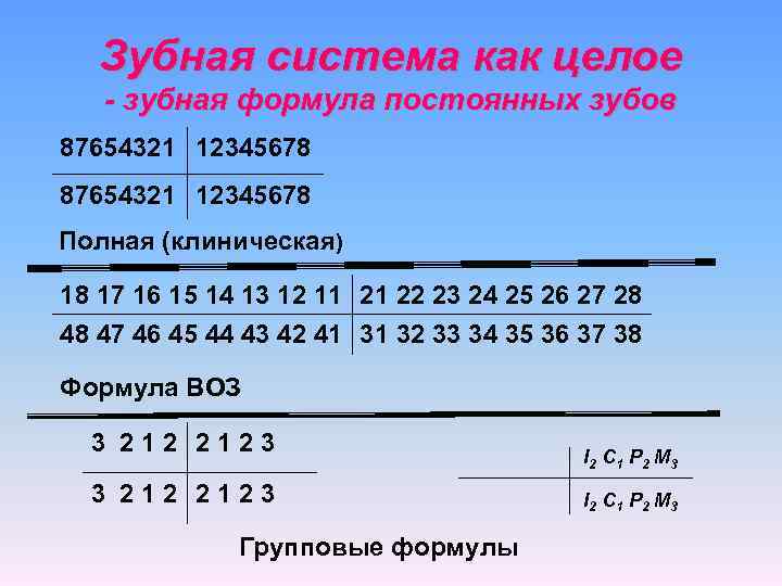  Зубная система как целое - зубная формула постоянных зубов 87654321 12345678 Полная (клиническая)