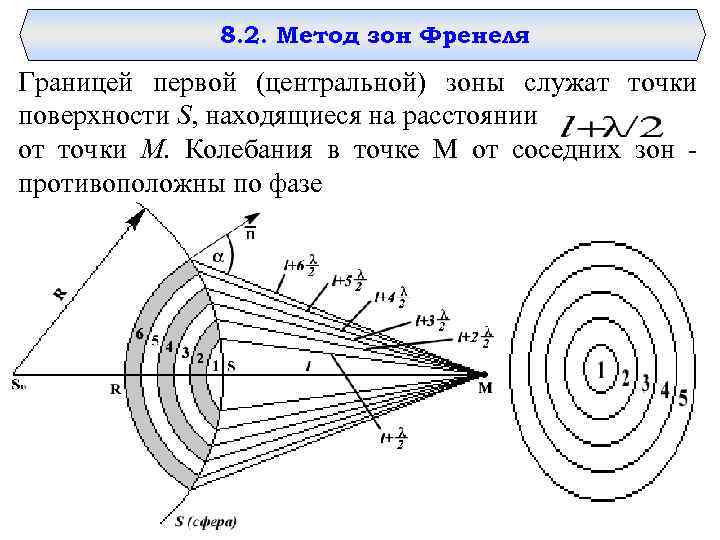 8. 2. Метод зон Френеля Границей первой (центральной) зоны служат точки 8. 2. Метод зон Френеля Границей первой (центральной) зоны служат точки