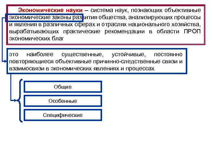 Экономические науки – система наук, познающих объективные экономические законы развития общества, анализирующих процессы и