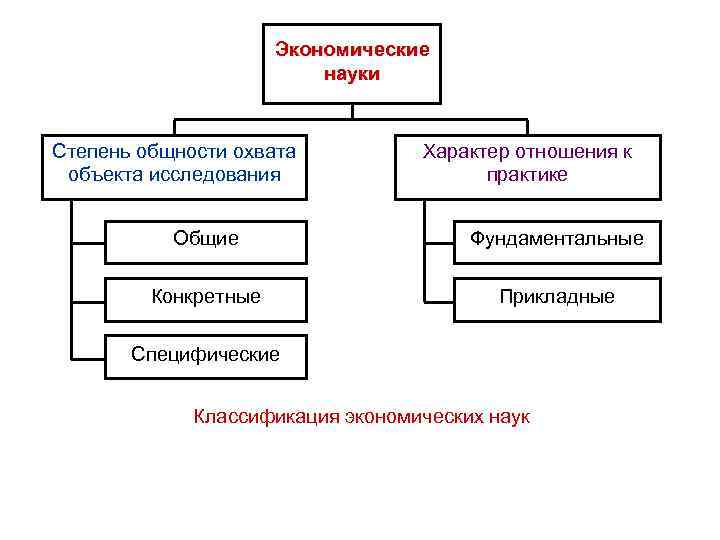 Экономические науки Степень общности охвата объекта исследования Характер отношения к практике Общие Фундаментальные Конкретные