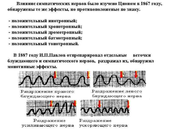   Влияние симпатических нервов было изучено Ционом в 1867 году, обнаружены те же