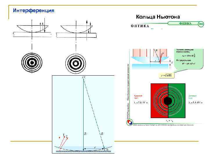 Интерференция   Кольца Ньютона 
