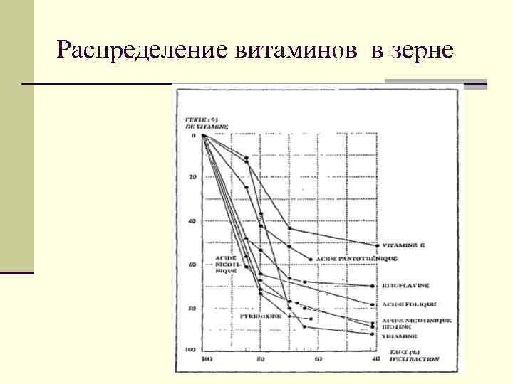 Распределение витаминов в зерне 