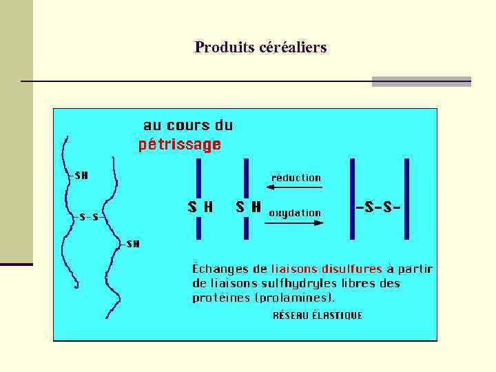 Produits céréaliers 