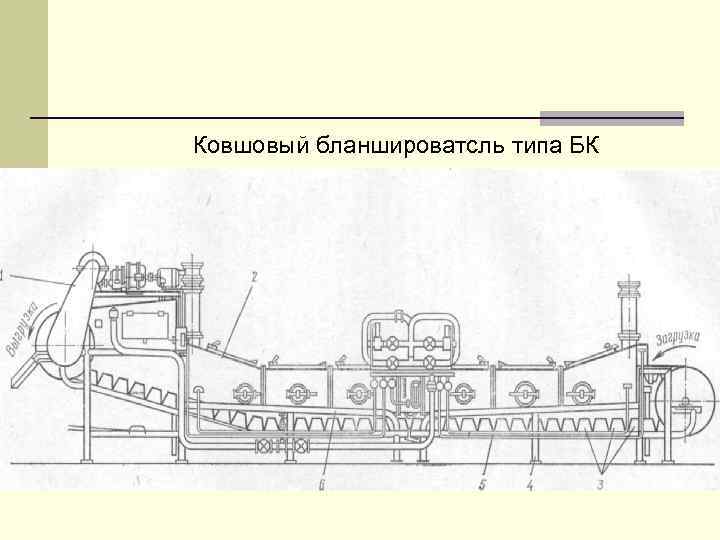 Ковшовый бланшироватсль типа БК 