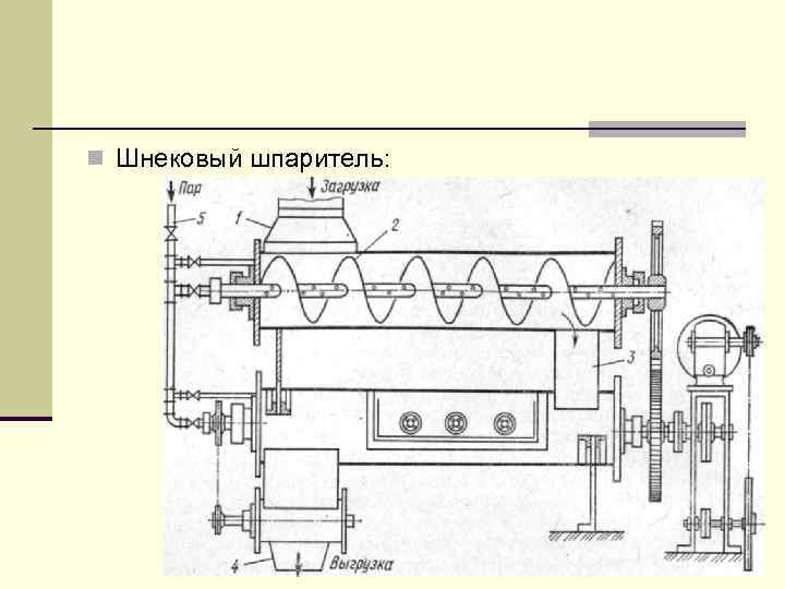n Шнековый шпаритель: 