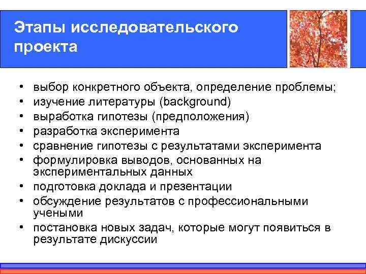 Этапы исследовательского проекта  • выбор конкретного объекта, определение проблемы;  • изучение литературы