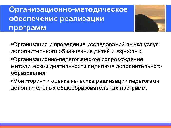 Организационно-методическое обеспечение реализации программ  • Организация и проведение исследований рынка услуг дополнительного образования