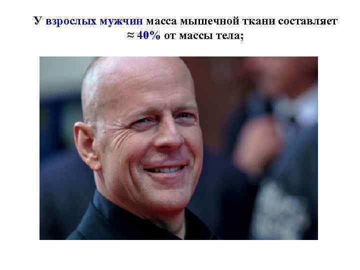 У взрослых мужчин масса мышечной ткани составляет ≈ 40% от массы тела; 