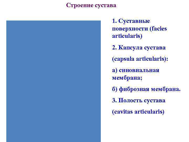 Строение сустава 1. Суставные поверхности (facies Строение сустава 1. Суставные поверхности (facies