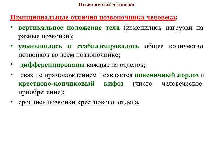 Позвоночник человека Принципиальные отличия позвоночника человека: • вертикальное положение Позвоночник человека Принципиальные отличия позвоночника человека: • вертикальное положение