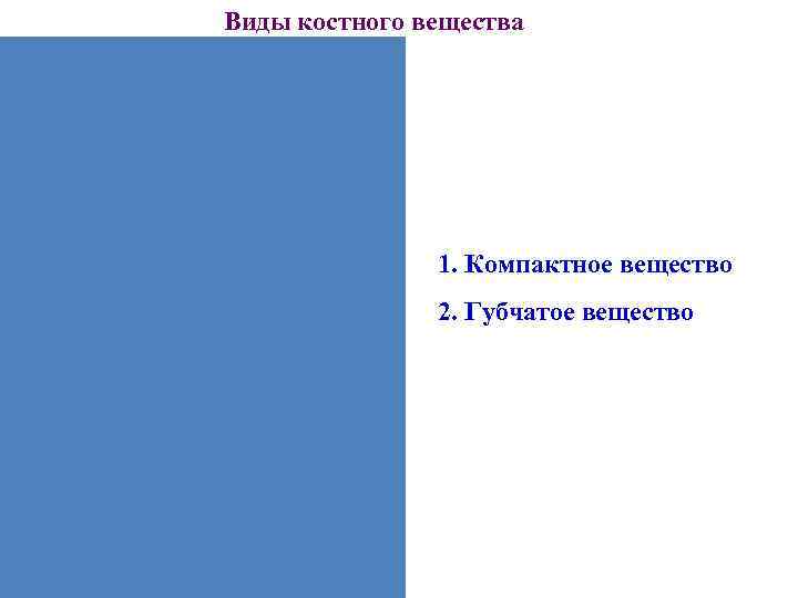 Виды костного вещества 1. Компактное вещество 2. Губчатое Виды костного вещества 1. Компактное вещество 2. Губчатое