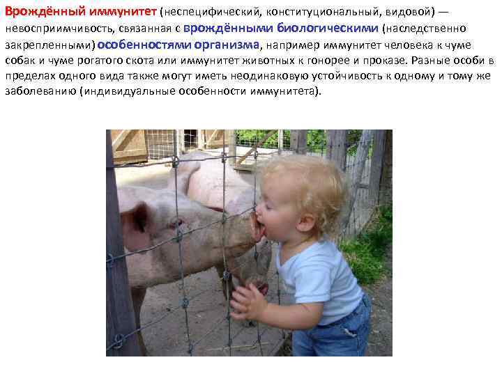 Врождённый иммунитет (неспецифический, конституциональный, видовой) — невосприимчивость, связанная с врождёнными биологическими (наследственно закрепленными) особенностями