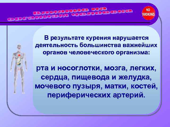  В результате курения нарушается деятельность большинства важнейших  органов человеческого организма:  рта