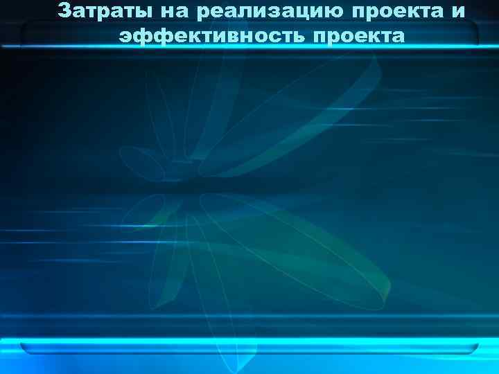 Затраты на реализацию проекта и эффективность проекта 