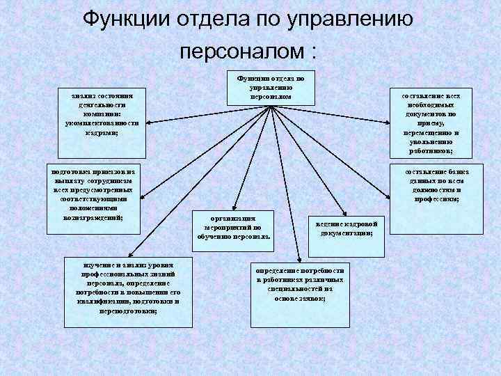   Функции отдела по управлению   персоналом :    Функции