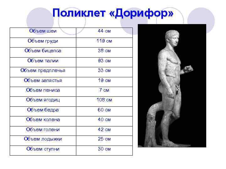 Поликлет произведение которое считается изображением эталонных пропорций человеческого тела