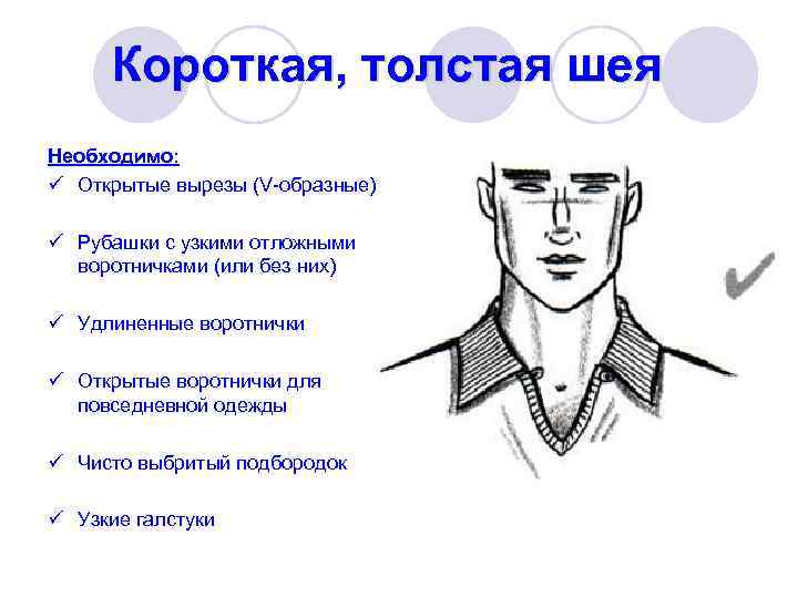  Короткая, толстая шея Необходимо:  ü Открытые вырезы (V-образные)  ü Рубашки с