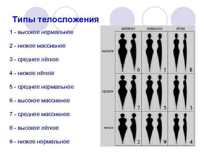 Средне легкий. 9 Типов телосложения. Тип телосложения 5. Типы телосложения 5 типов. Мужские типы фигур и характеристики.