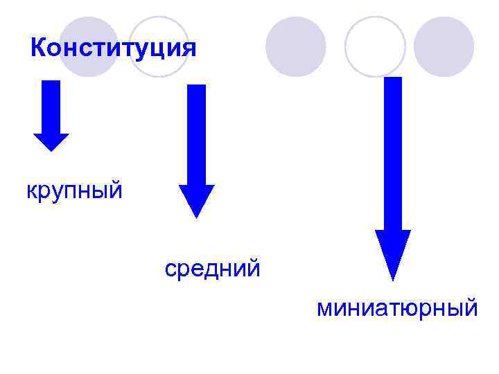Конституция крупный   средний     миниатюрный 