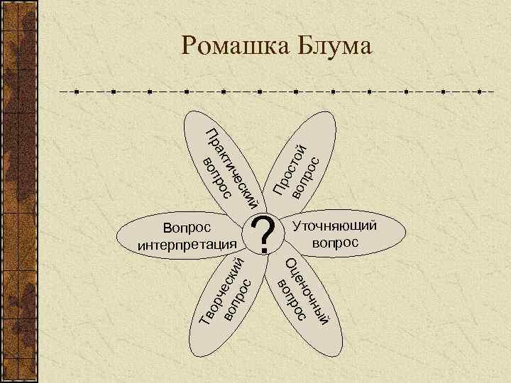  Ромашка Блума   Пр воп     во стой 