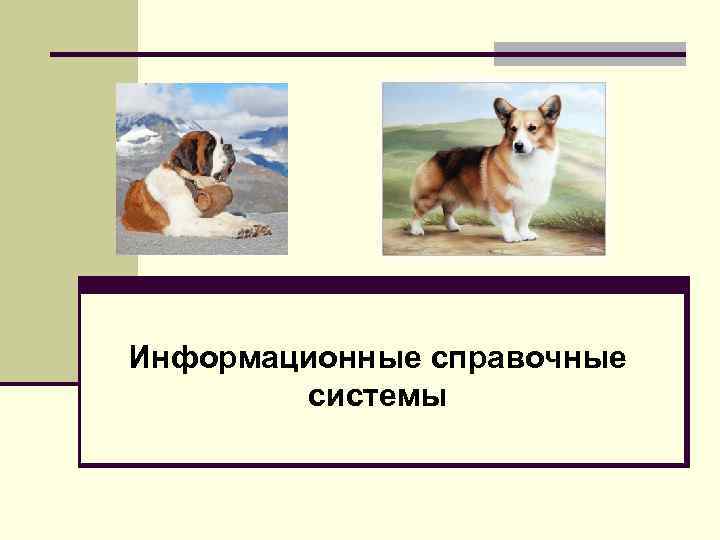 Информационные справочные   системы 
