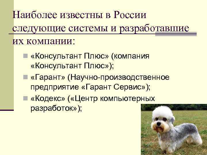 Наиболее известны в России следующие системы и разработавшие их компании:  n «Консультант Плюс»