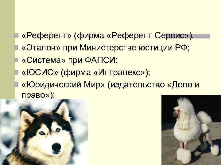 n «Референт» (фирма «Референт-Сервис» ). n «Эталон» при Министерстве юстиции РФ; n «Система» при