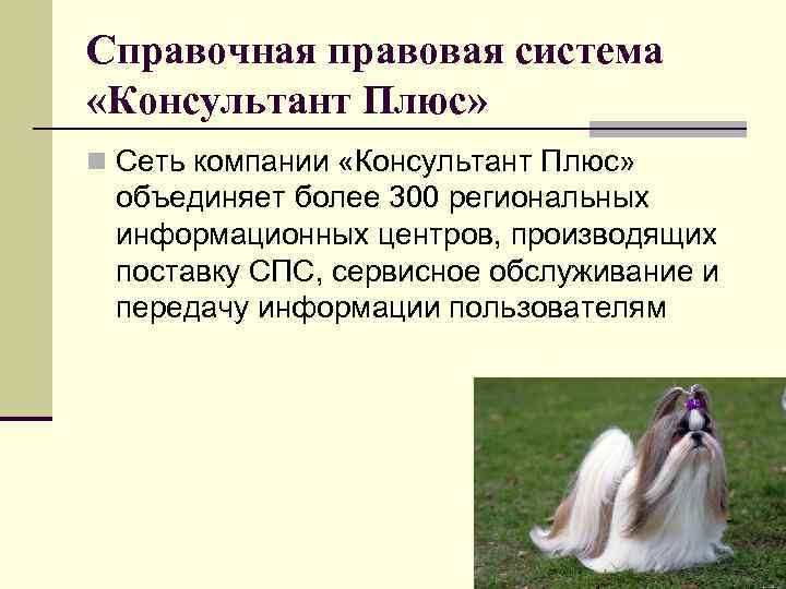 Справочная правовая система «Консультант Плюс» n Сеть компании «Консультант Плюс»  объединяет более 300