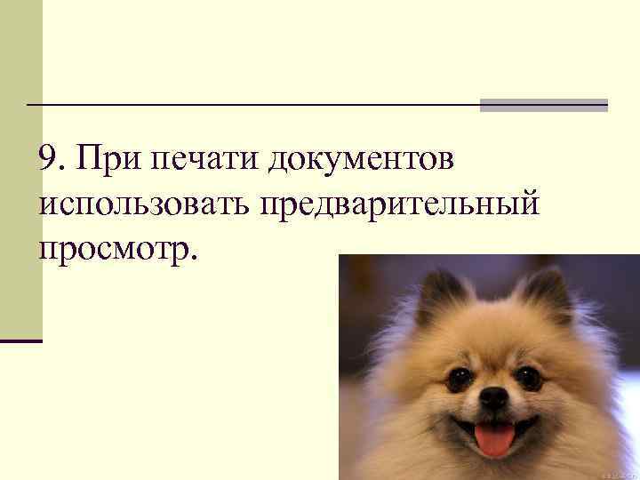 9. При печати документов использовать предварительный просмотр. 